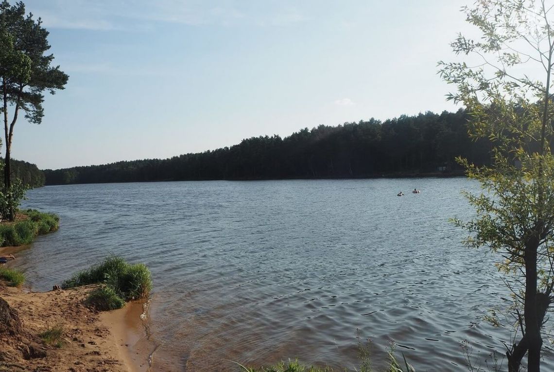 Akcja poszukiwawcza nad zalewem w Rejowie (edycja) Akcja poszukiwawcza nad zalewem w Rejowie (edycja)