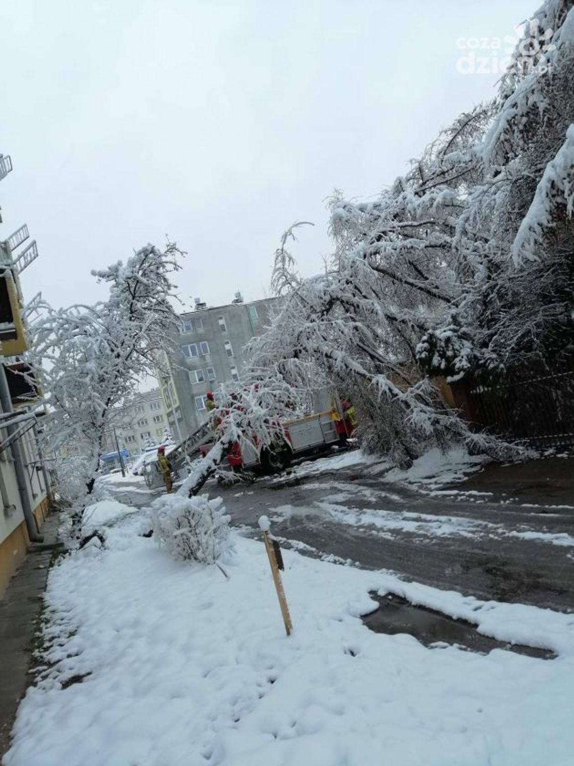 Alert pogodowy Rządowego Centrum Bezpieczeństwa Alert pogodowy Rządowego Centrum Bezpieczeństwa