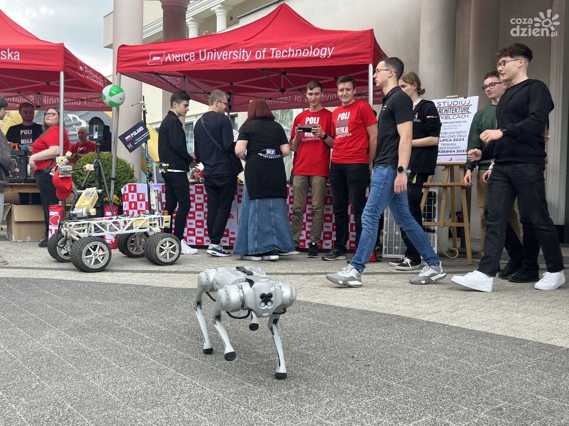 Antidotum na dylematy absolwenta Antidotum na dylematy absolwenta