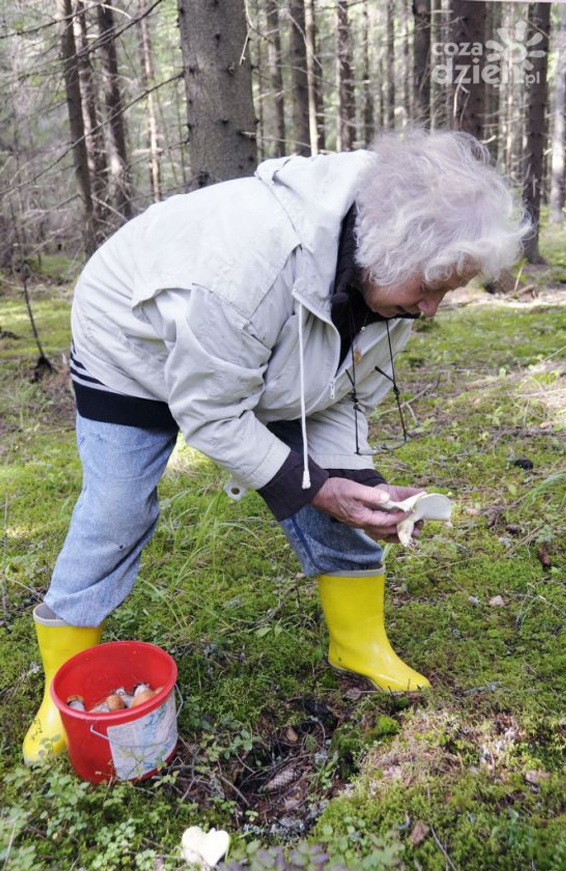 Apel do grzybiarzy Apel do grzybiarzy