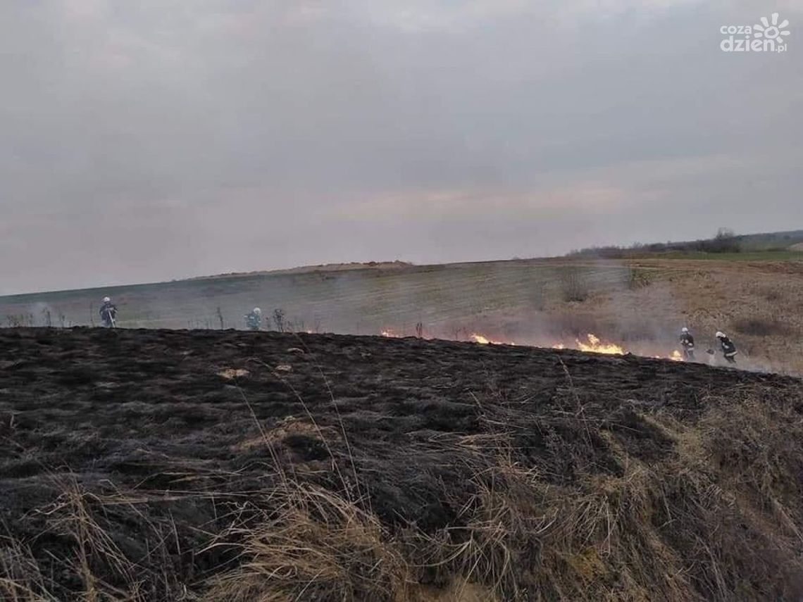Apel Straży Pożarnej: nie wypalaj traw Apel Straży Pożarnej: nie wypalaj traw