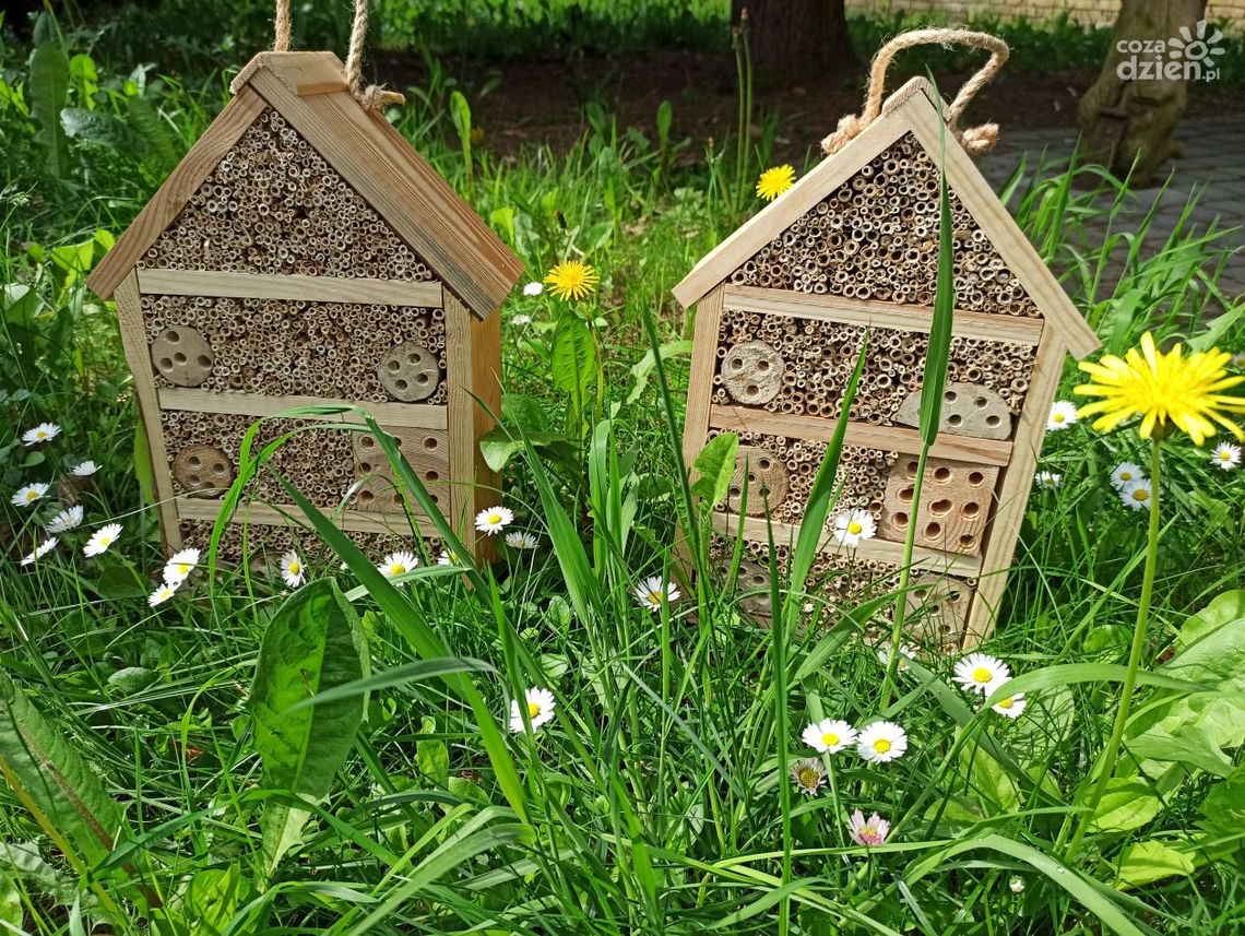 Atrakcyjne nagrody czekają na uczestników konkursu "Pszczoły- nasze życie" Atrakcyjne nagrody czekają na uczestników konkursu "Pszczoły- nasze życie"