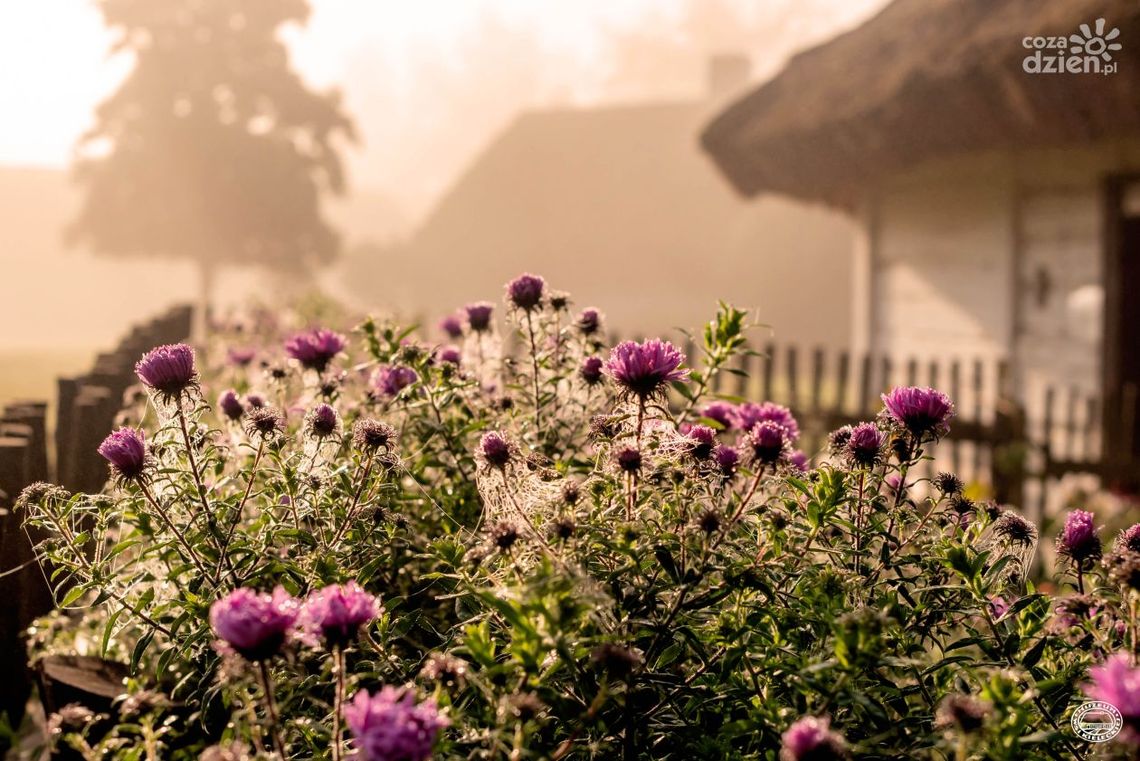 Atrakcyjne nagrody w konkursie fotograficznym o polskiej wsi Atrakcyjne nagrody w konkursie fotograficznym o polskiej wsi