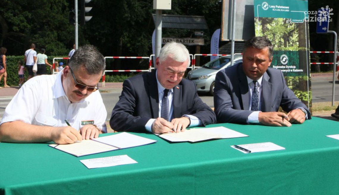 Atuty świętokrzyskich lasów w turystyce Atuty świętokrzyskich lasów w turystyce