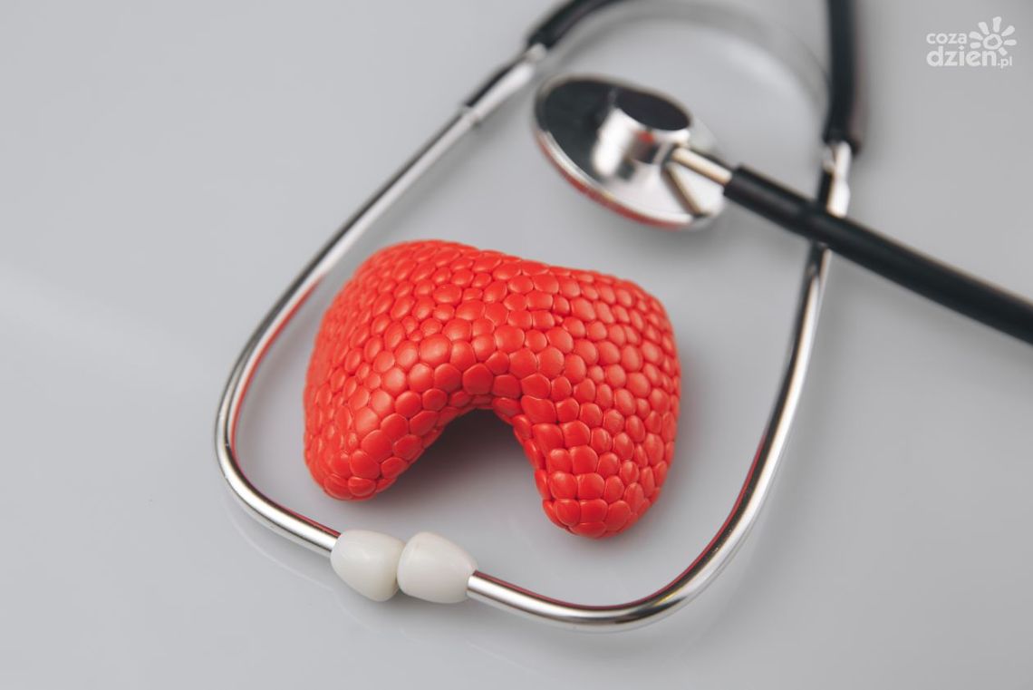 Badania krwi na tarczycę – kiedy i po co?