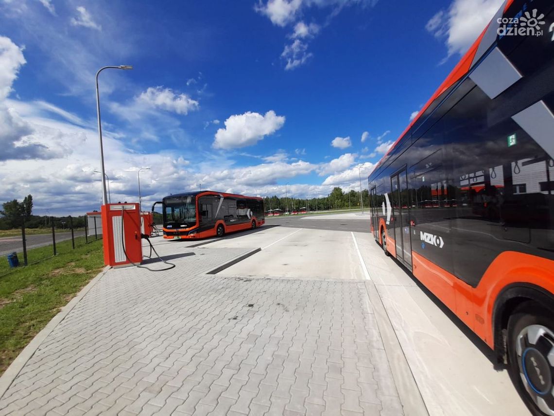 Będą zielone przystanki i elektroniczne tablice z rozkładami jazdy Będą zielone przystanki i elektroniczne tablice z rozkładami jazdy