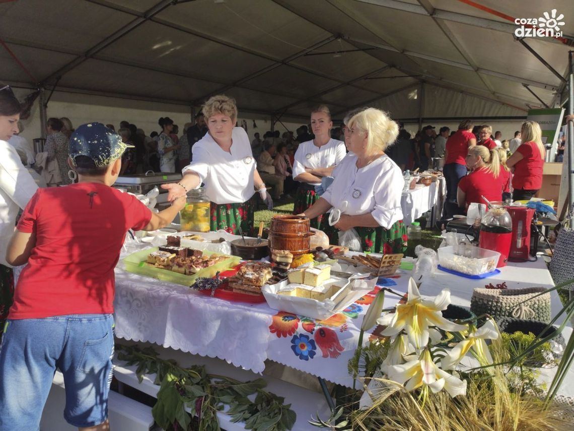 Będzie dobra zabawa i smaczne jedzenie - tak zapowiada się "Święto Chleba" Będzie dobra zabawa i smaczne jedzenie - tak zapowiada się "Święto Chleba"