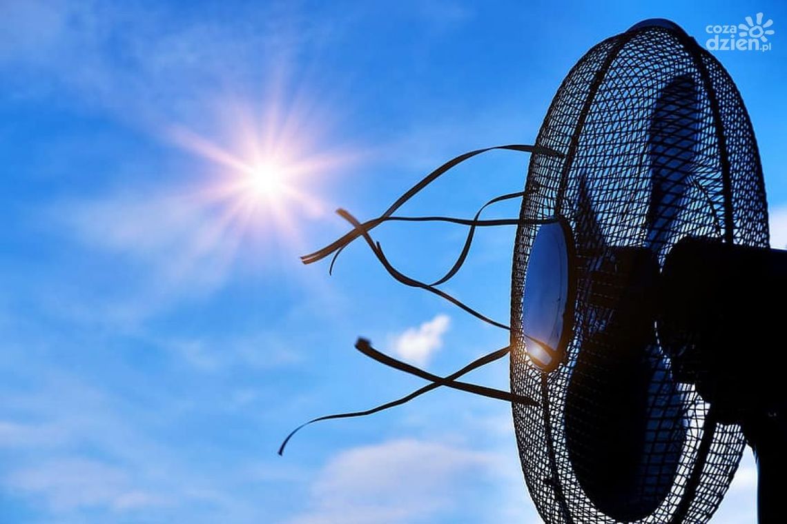 Będzie gorąco! Będzie gorąco!