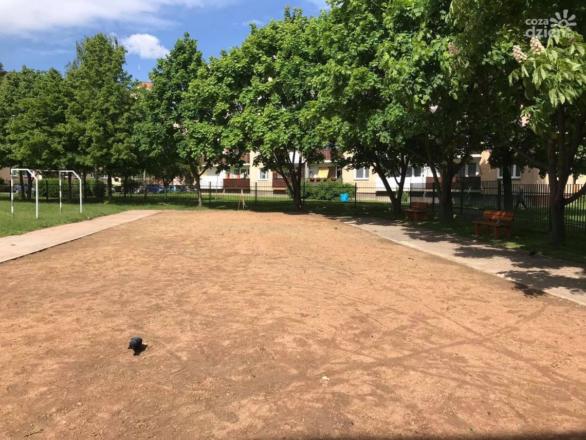 Będzie kolorowo na terenie PSP nr 7 w Ostrowcu Świętokrzyskim