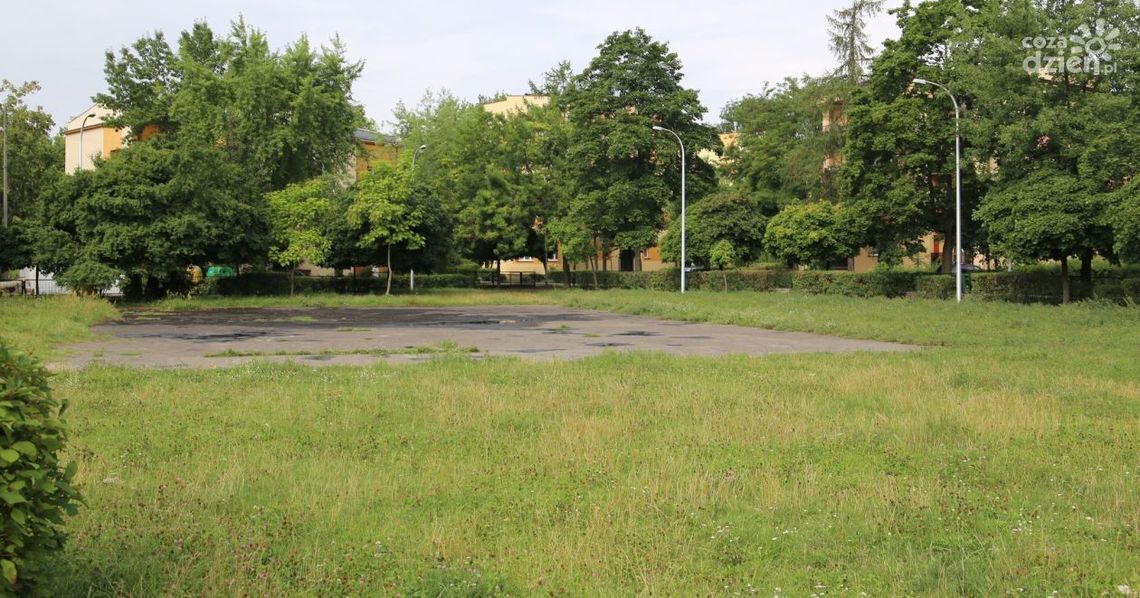 Będzie więcej zieleni w Ostrowcu Świętokrzyskim Będzie więcej zieleni w Ostrowcu Świętokrzyskim