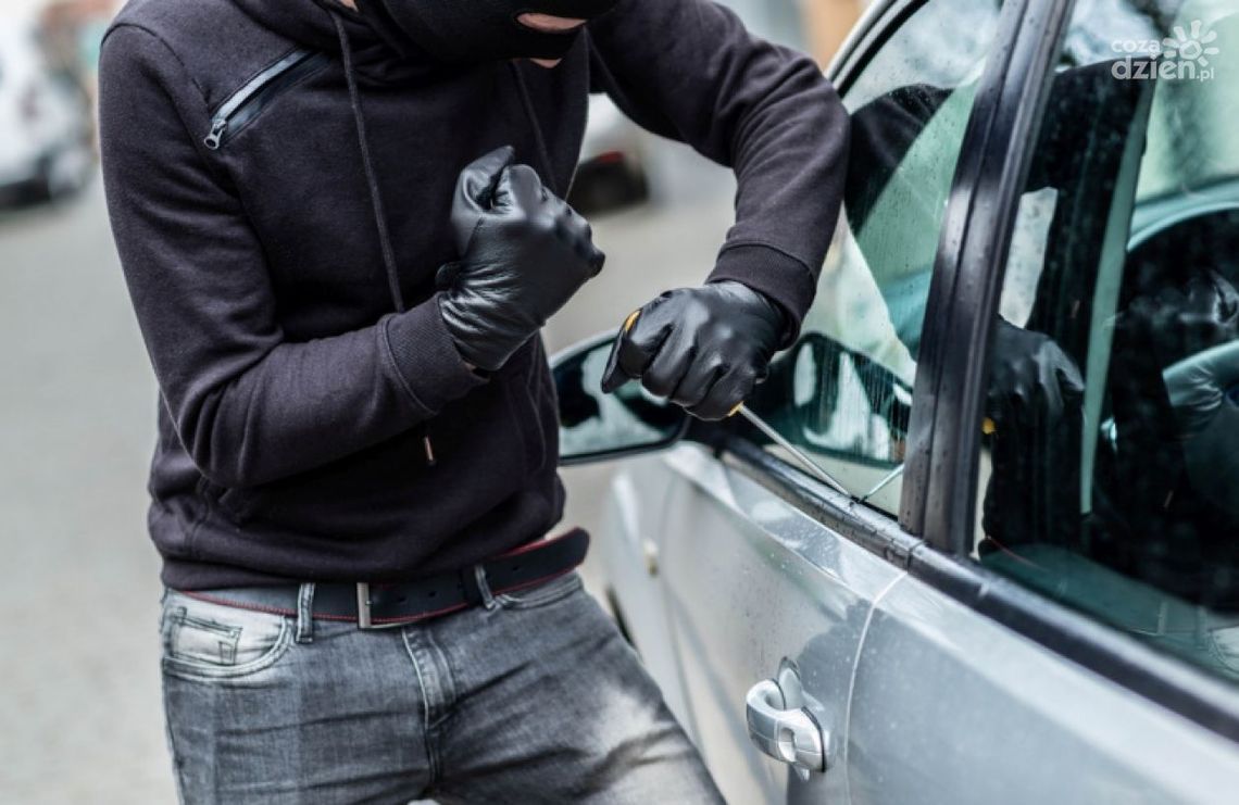 Bezmyślnie wystawiał na sprzedaż