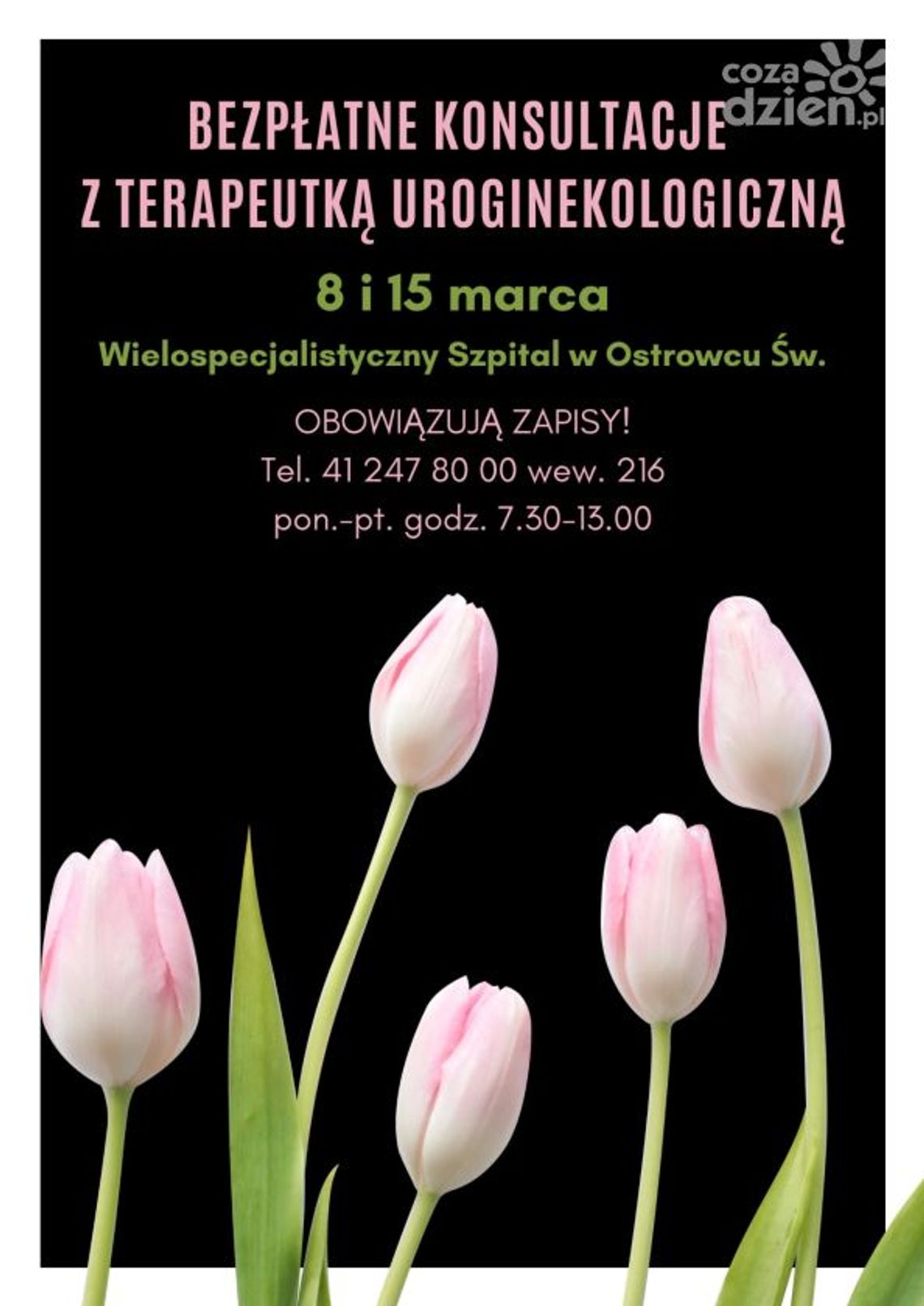 Bezpłatne konsultacje na Dzień Kobiet Bezpłatne konsultacje na Dzień Kobiet