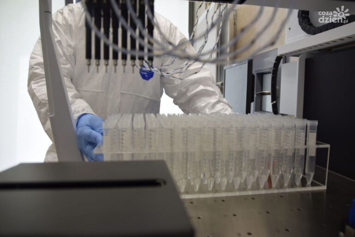 Bezpłatne testy dla nauczycieli w Podzamczu