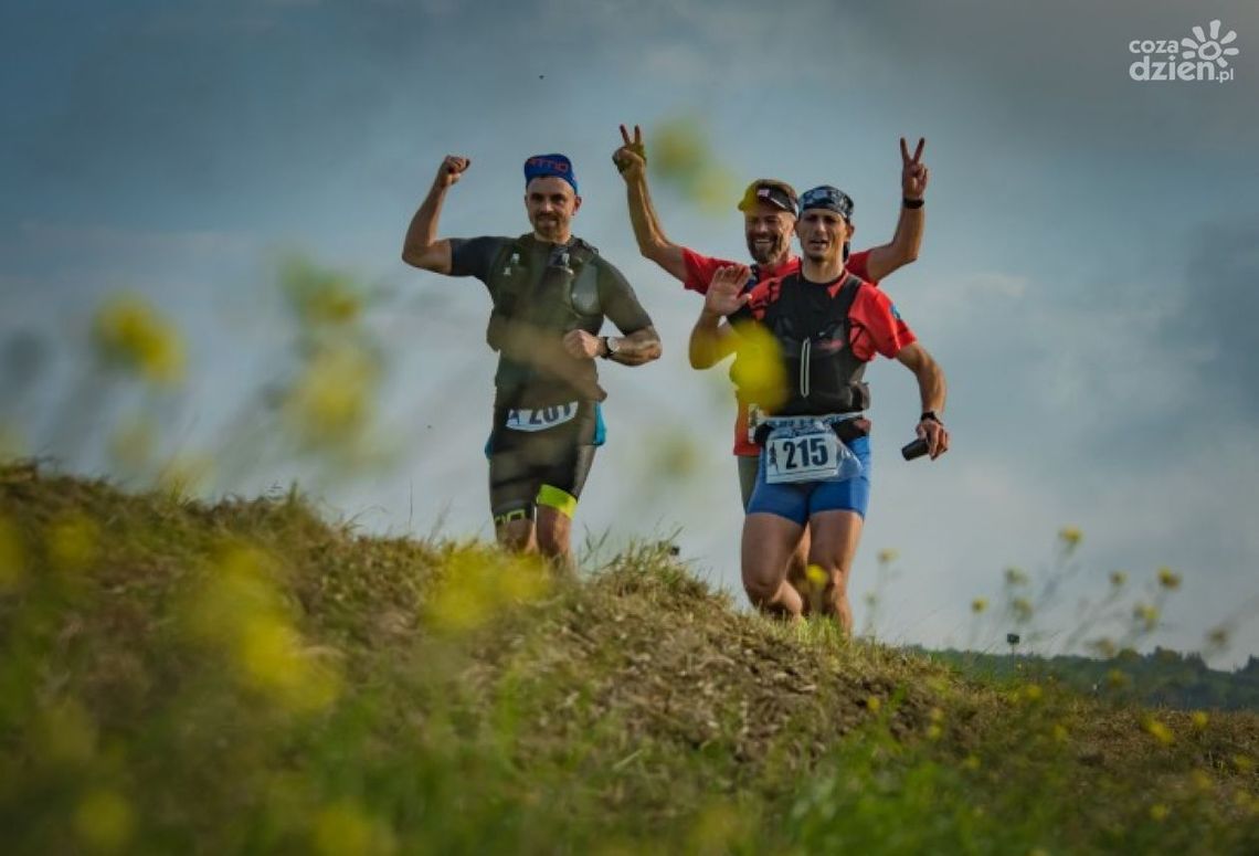 Biegając po sandomierskich winnicach Biegając po sandomierskich winnicach