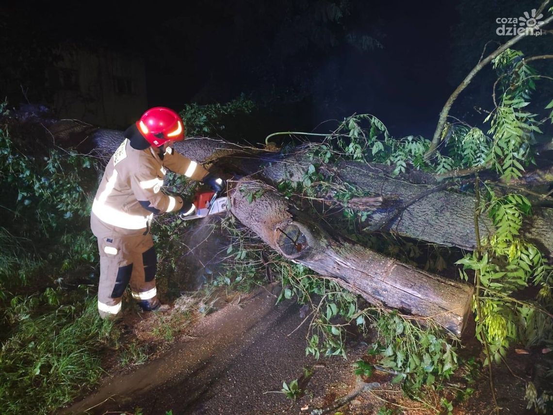 Bilans po burzach w Świętokrzyskiem. Strażacy interweniowali już 227 razy Bilans po burzach w Świętokrzyskiem. Strażacy interweniowali już 227 razy