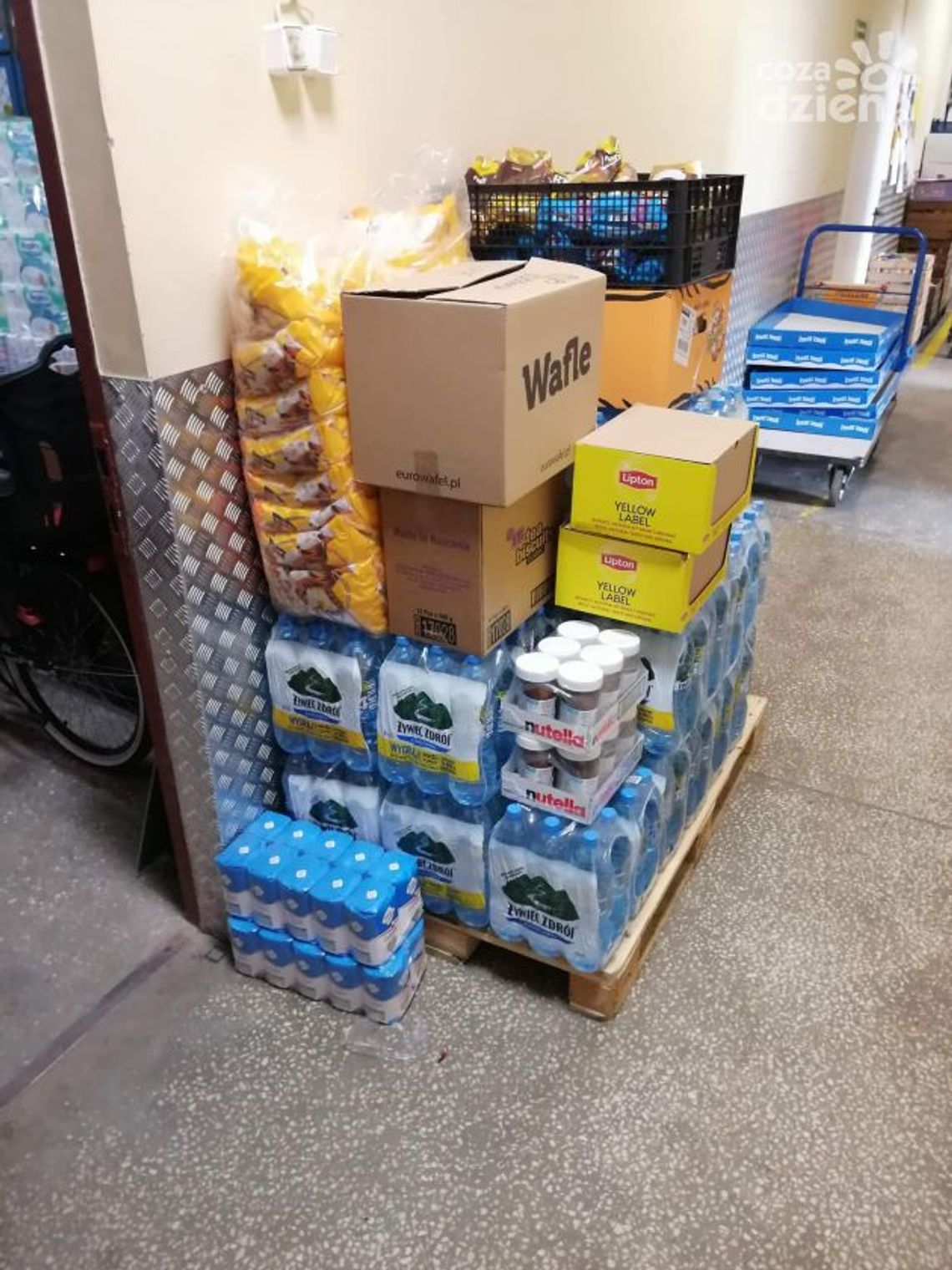 Błyskawiczna reakcja ostrowczan! Błyskawiczna reakcja ostrowczan!