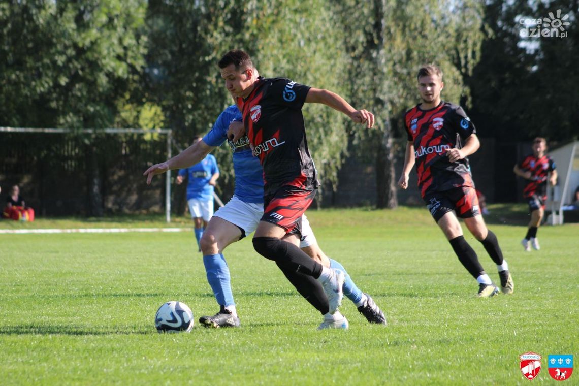 Bolesna porażka Bucovii Bolesna porażka Bucovii