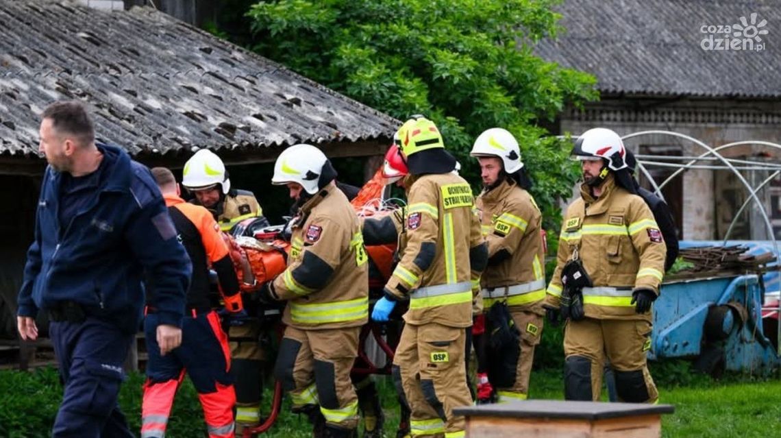 Brutalny atak psów w Osinach. Łukasz – potrzebuje naszej pomocy