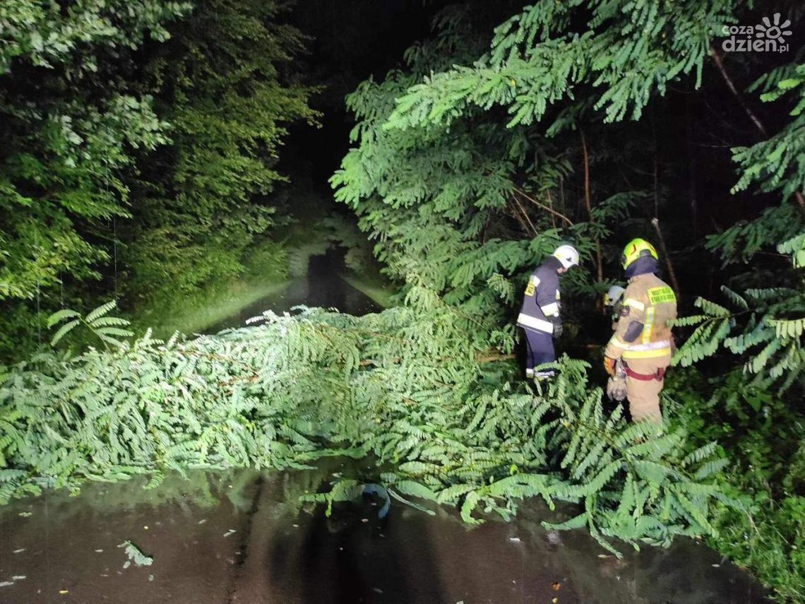 Burze nie wyrządziły szkód w powiecie ostrowieckim Burze nie wyrządziły szkód w powiecie ostrowieckim