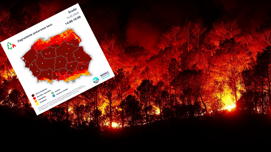Całe świętokrzyskie na bordowo. Ekstremalne zagrożenie pożarowe