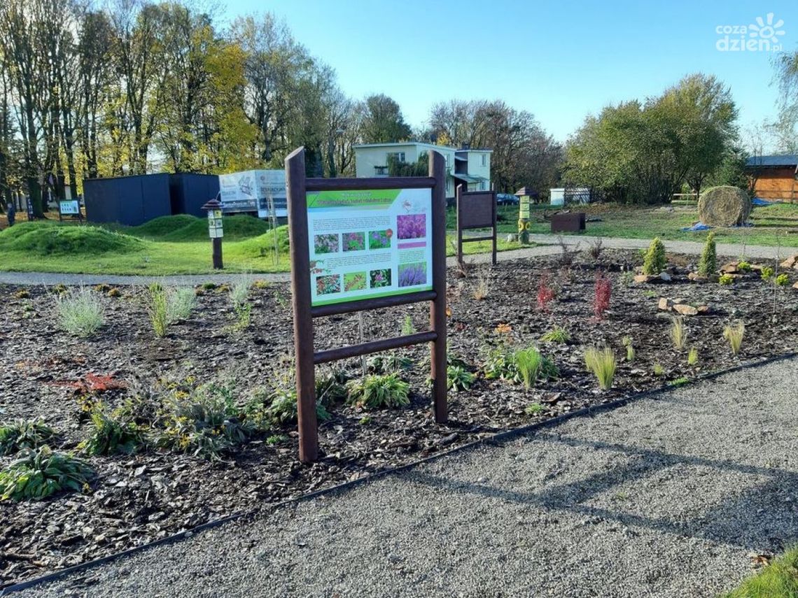 Centrum Autyzmu w Niemienicach ciągle pięknieje Centrum Autyzmu w Niemienicach ciągle pięknieje
