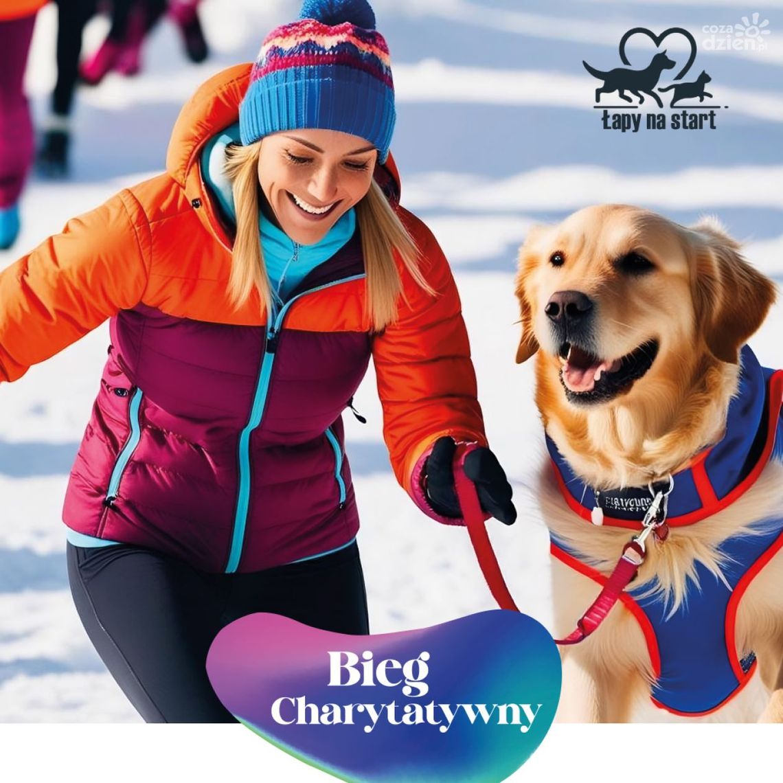 Charytatywny bieg dla zwierzaków Charytatywny bieg dla zwierzaków