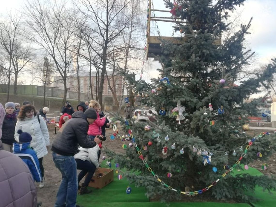 Choinka w Częstocicach Choinka w Częstocicach
