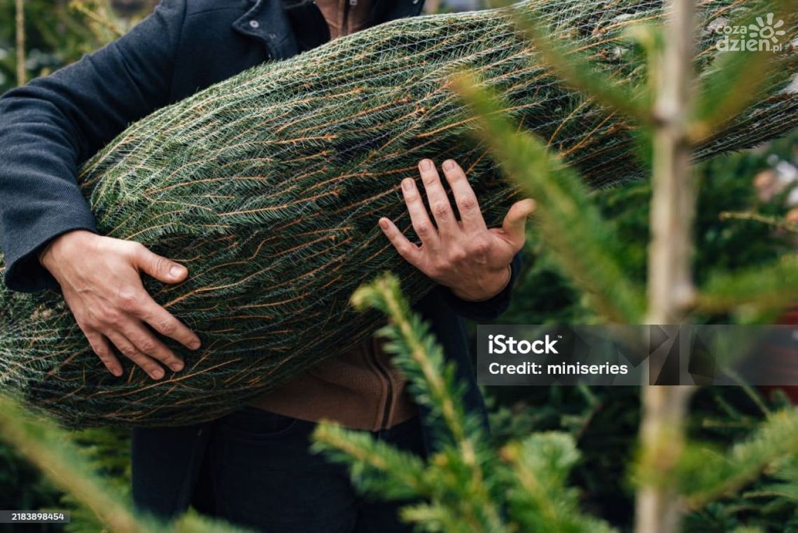 Choinka za elektrośmieci Choinka za elektrośmieci