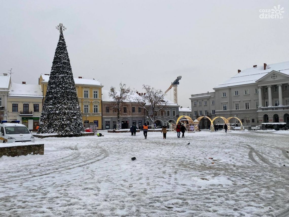 „Choinko zostań wśród nas” przedświąteczny klimat na rynku przyciągnął kielczan „Choinko zostań wśród nas” przedświąteczny klimat na rynku przyciągnął kielczan