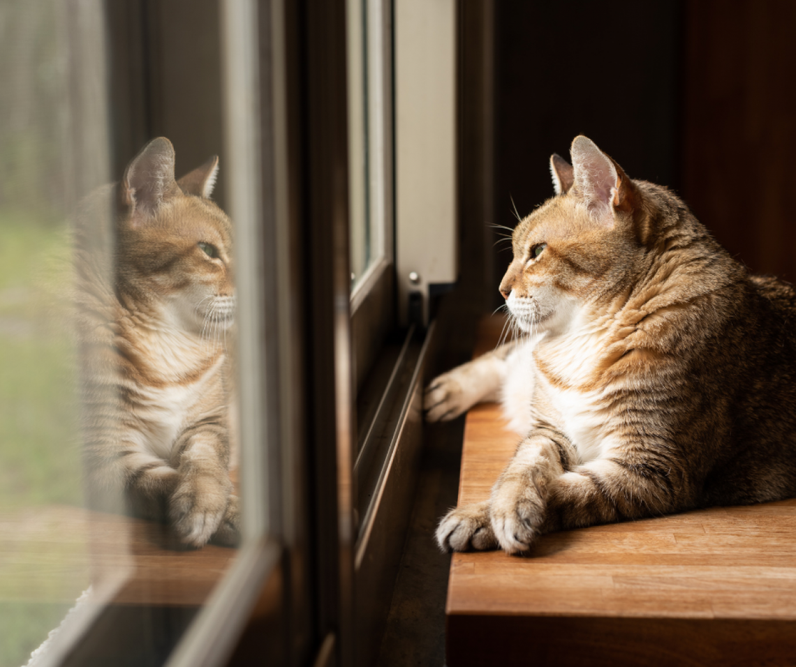Ciepłe okna i szczelny montaż? Co to w ogóle znaczy! Ciepłe okna i szczelny montaż? Co to w ogóle znaczy!