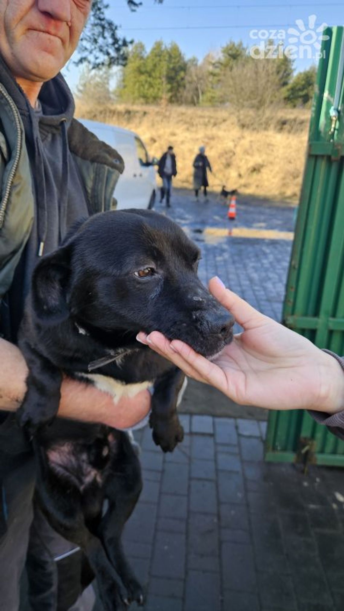 Co dalej ze schroniskiem w Suchedniowie? Decyzja wciąż nie zapadła Co dalej ze schroniskiem w Suchedniowie? Decyzja wciąż nie zapadła