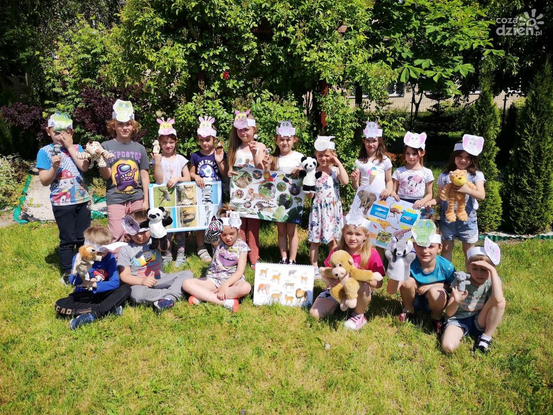 "Co Za Dzieci": Dzień Żyrafy w PP nr 11 "Co Za Dzieci": Dzień Żyrafy w PP nr 11