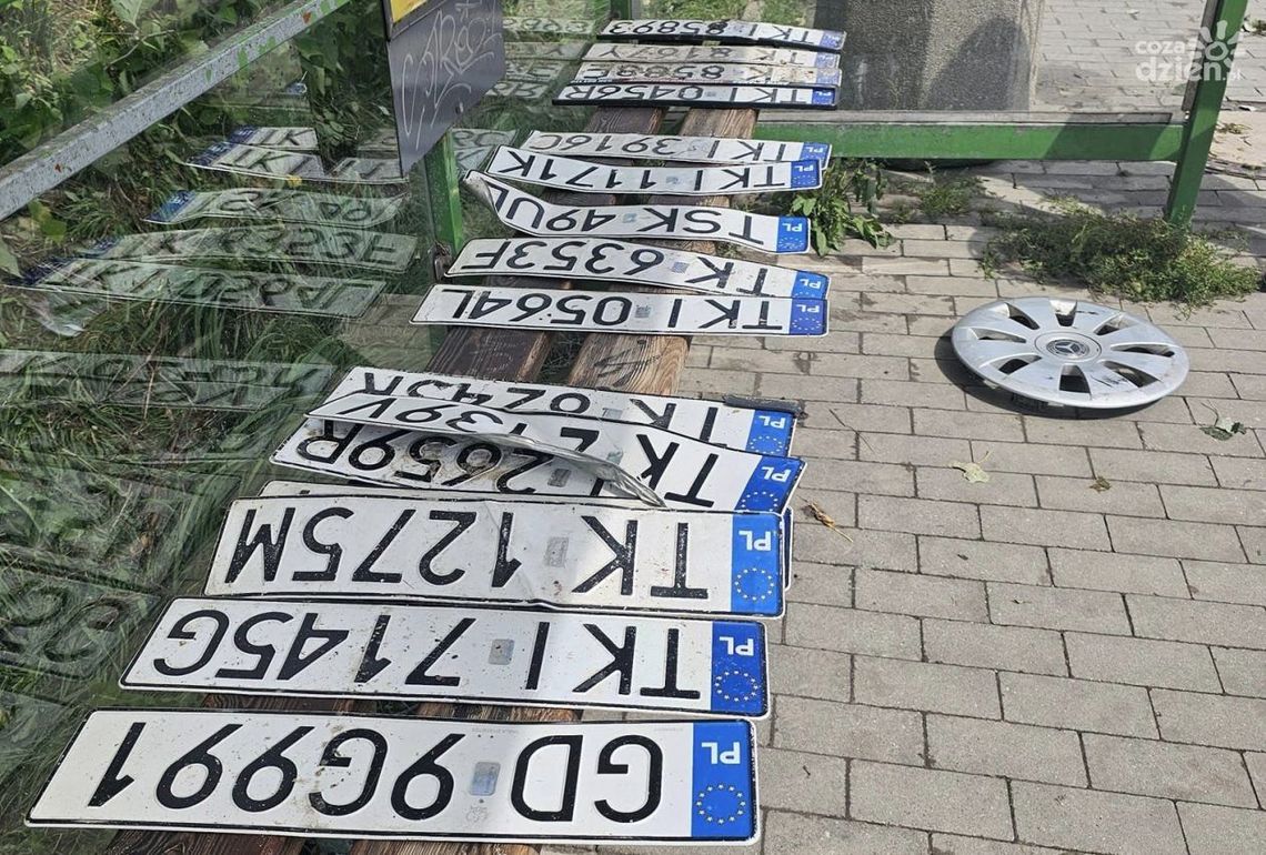 Co zrobić ze zgubioną tablicą rejestracyjną? Co zrobić ze zgubioną tablicą rejestracyjną?