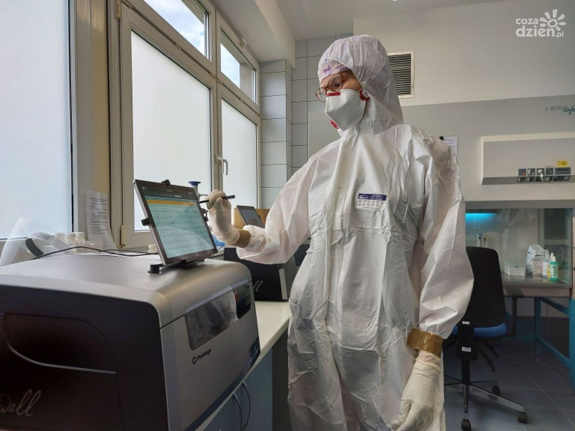 Covidowe laboratorium ŚCO bada m.in. na potrzeby opatowskiej lecznicy Covidowe laboratorium ŚCO bada m.in. na potrzeby opatowskiej lecznicy
