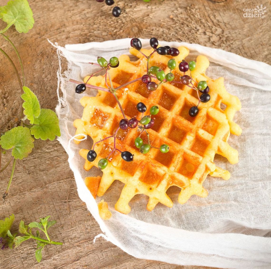 Cukier - biała śmierć. Dowiedz się więcej