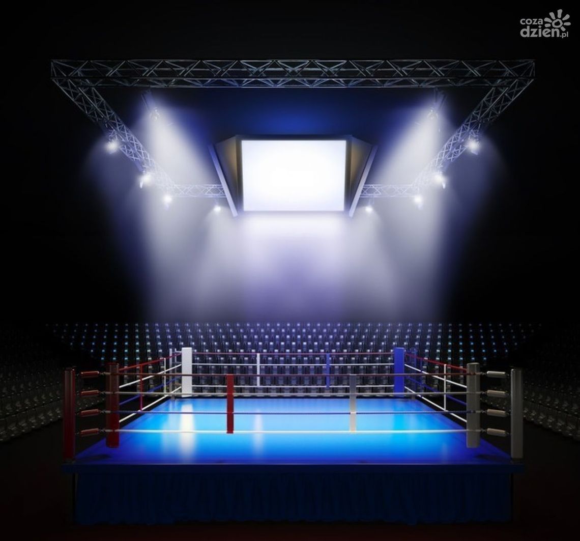 Czwartek dniem reprezentantów Polski Czwartek dniem reprezentantów Polski