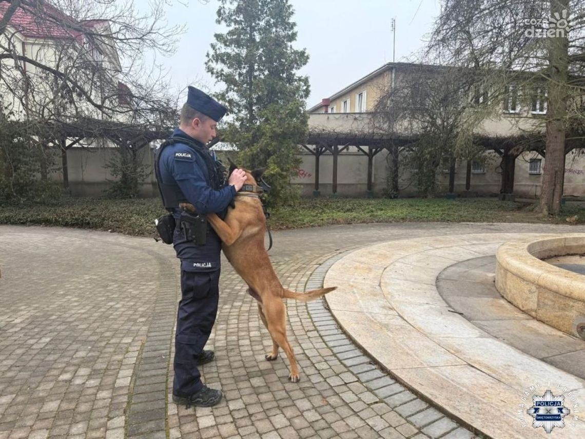 Czworonożni funkcjonariusze z Ostrowca Świętokrzyskiego. Niezastąpieni w służbie Policji