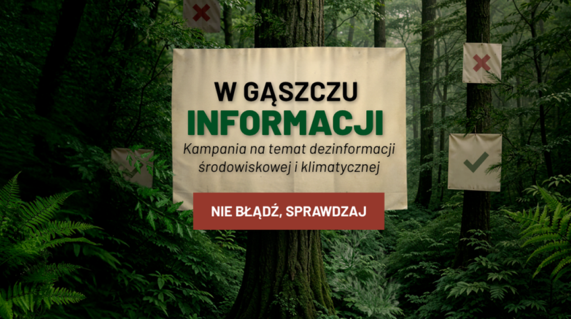Czy drewno można pozyskać bez wycinania drzew? Co 5. Polak tak myśli – nowa kampania Lasów Państwowych walczy z dezinformacją Czy drewno można pozyskać bez wycinania drzew? Co 5. Polak tak myśli – nowa kampania Lasów Państwowych walczy z dezinformacją