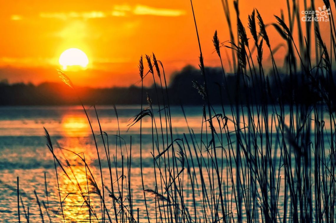 Czy korzystanie z kąpielisk jest bezpieczne? Czy korzystanie z kąpielisk jest bezpieczne?