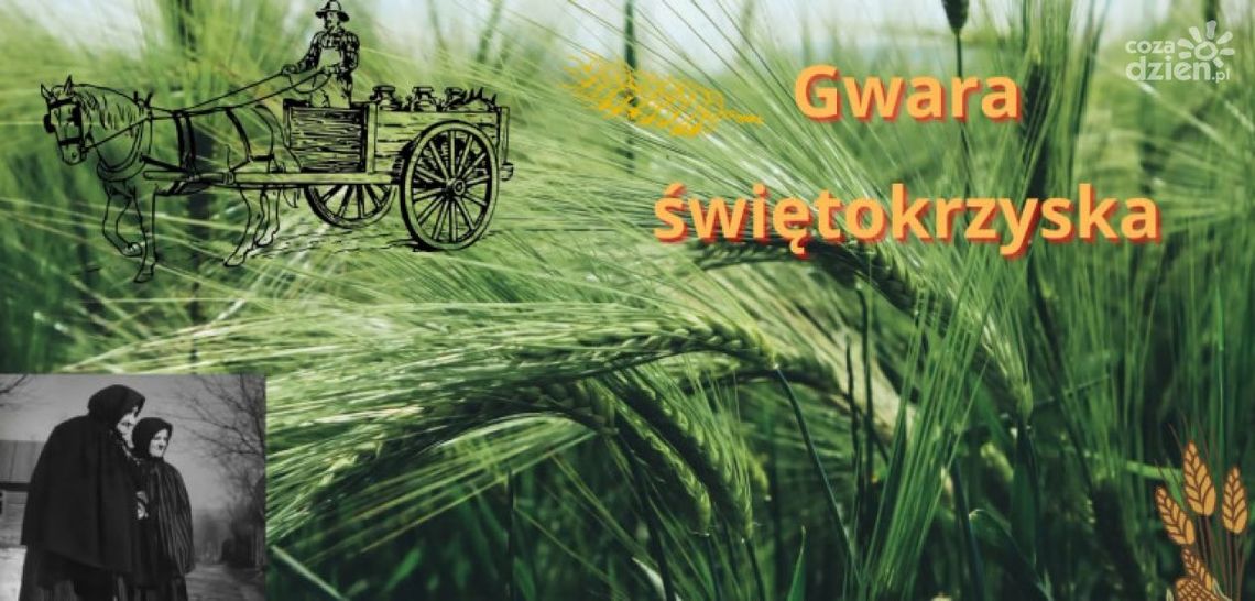 Czy znamy mowę naszych przodków?- Cykl o świętokrzyskiej gwarze Czy znamy mowę naszych przodków?- Cykl o świętokrzyskiej gwarze