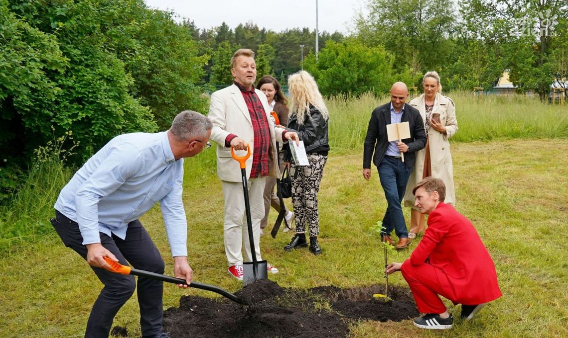 Dąb Bartek z Zagnańska ma swojego potomka w Kielcach! Dąb Bartek z Zagnańska ma swojego potomka w Kielcach!