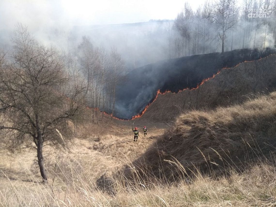 Dalej podpalają trawy. Za nic mają sytuację w kraju Dalej podpalają trawy. Za nic mają sytuację w kraju