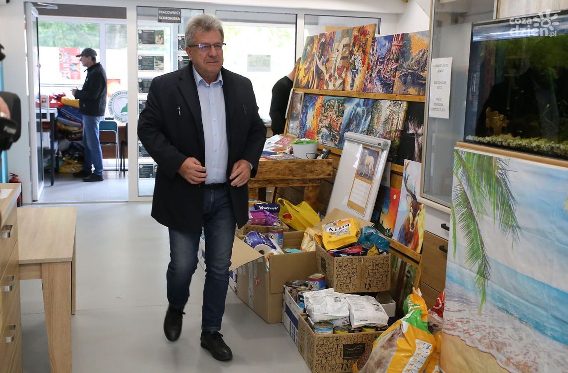 Dary trafiły do schroniska