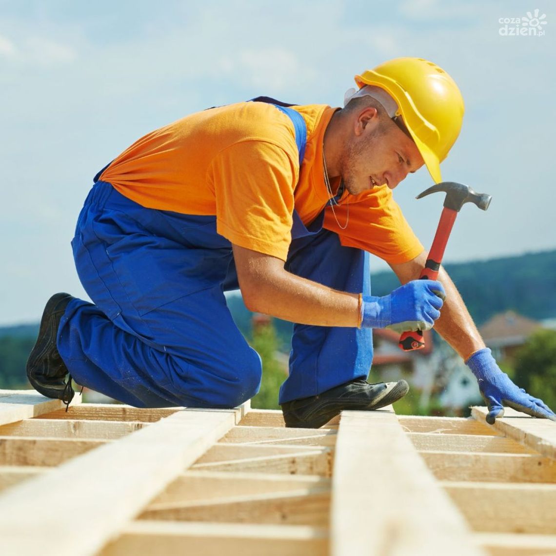 DEKARZ – najbardziej opłacalny zawód przyszłości! DEKARZ – najbardziej opłacalny zawód przyszłości!