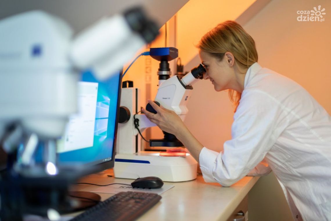 Dla firm, dla gospodarki. Nabór konkursowy! Dla firm, dla gospodarki. Nabór konkursowy!