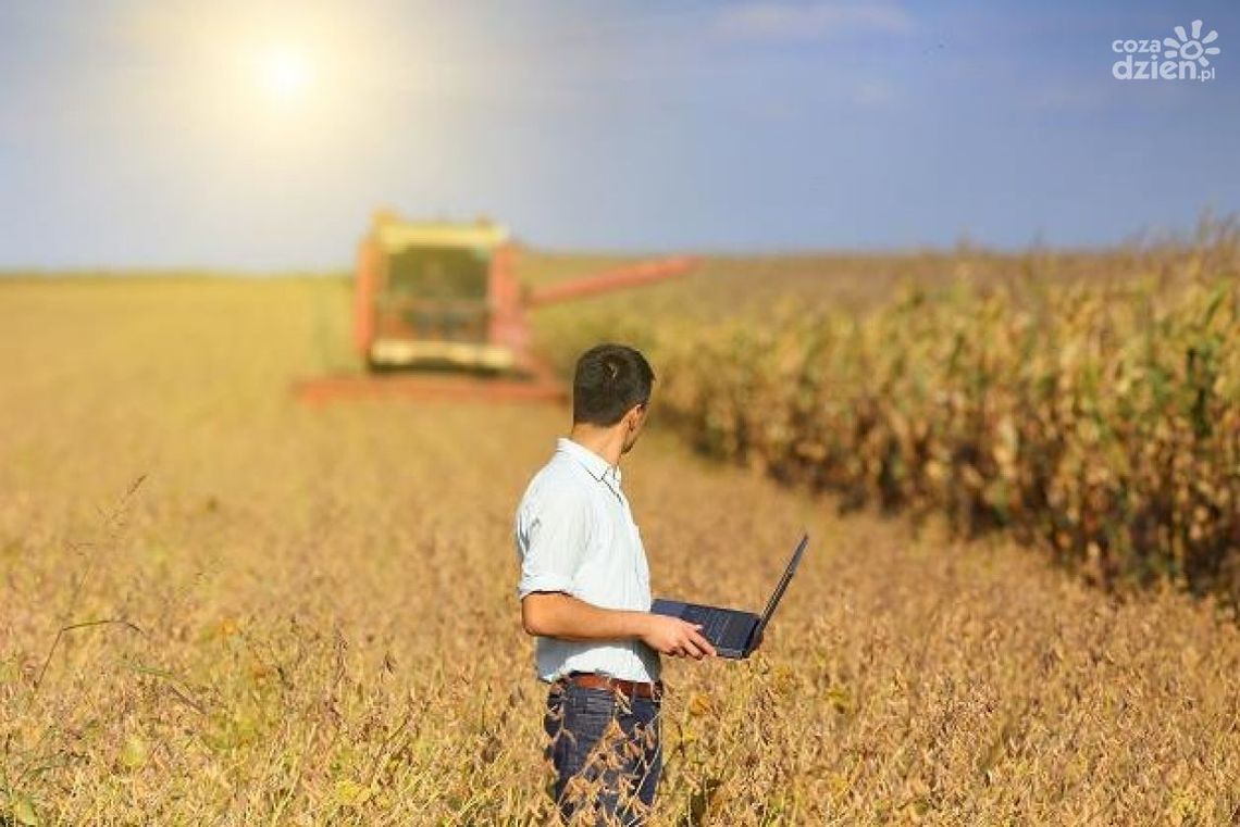 Dobiega końca nabór rachmistrzów Dobiega końca nabór rachmistrzów