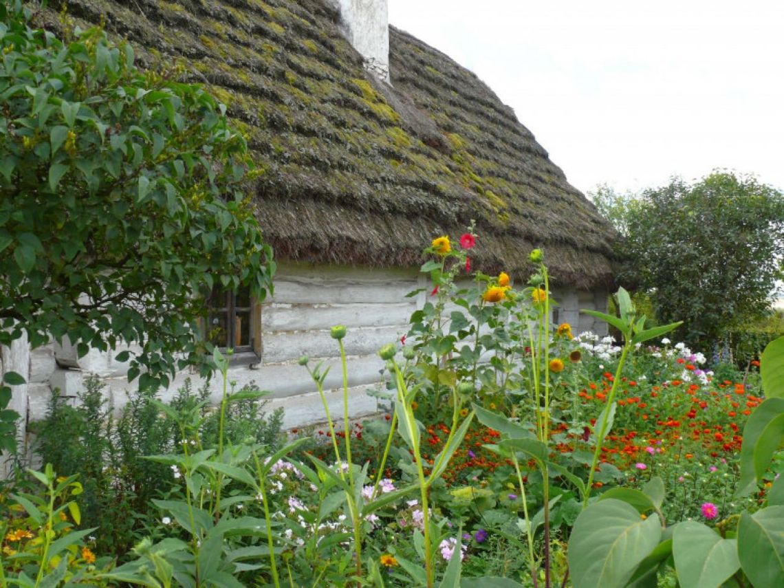 Dofinansowanie na zakup wyjątkowych dokumentów Dofinansowanie na zakup wyjątkowych dokumentów