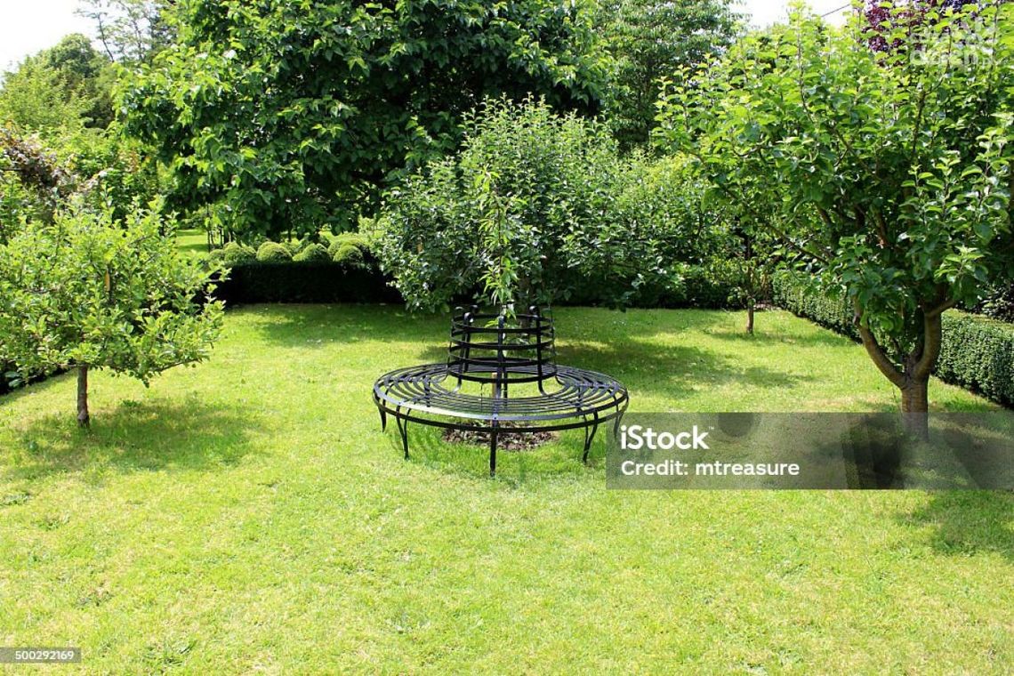 Dotacje z budżetu miasta dla ostrowieckich działkowców Dotacje z budżetu miasta dla ostrowieckich działkowców