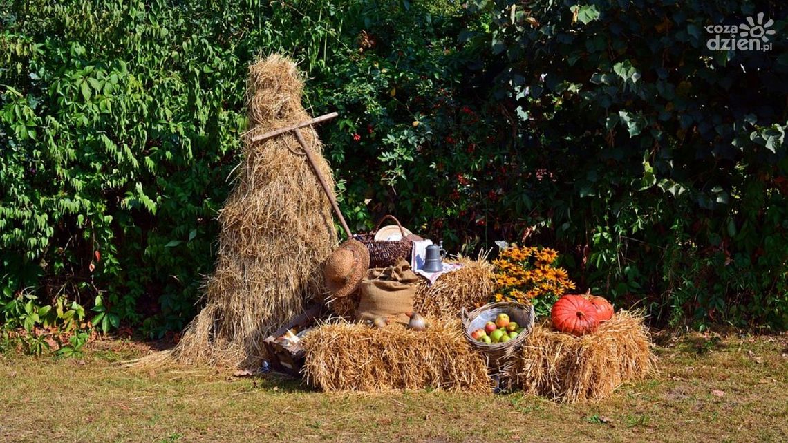 Dożynki i Festyn Rodzinny w Jędrzejowie Dożynki i Festyn Rodzinny w Jędrzejowie