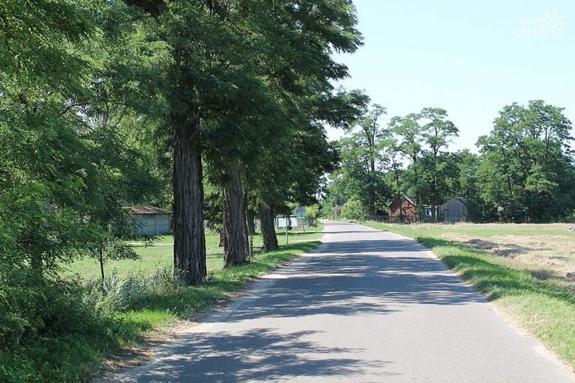 Drogi w gminie Bodzechów do remontu